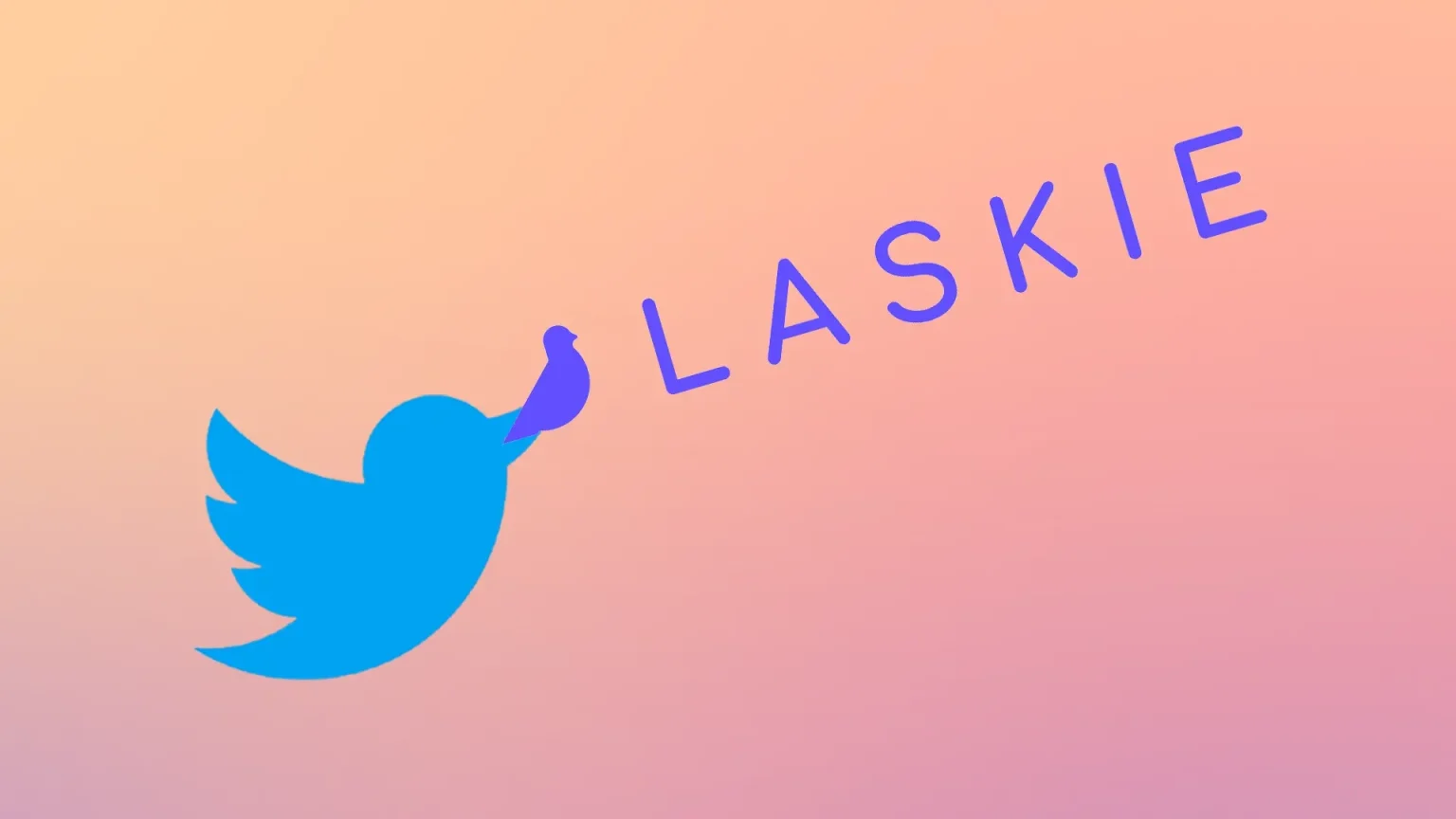 Twitter'ın çatı şirketi X Corp., iş bulma platformu Laskie'yi satın aldı