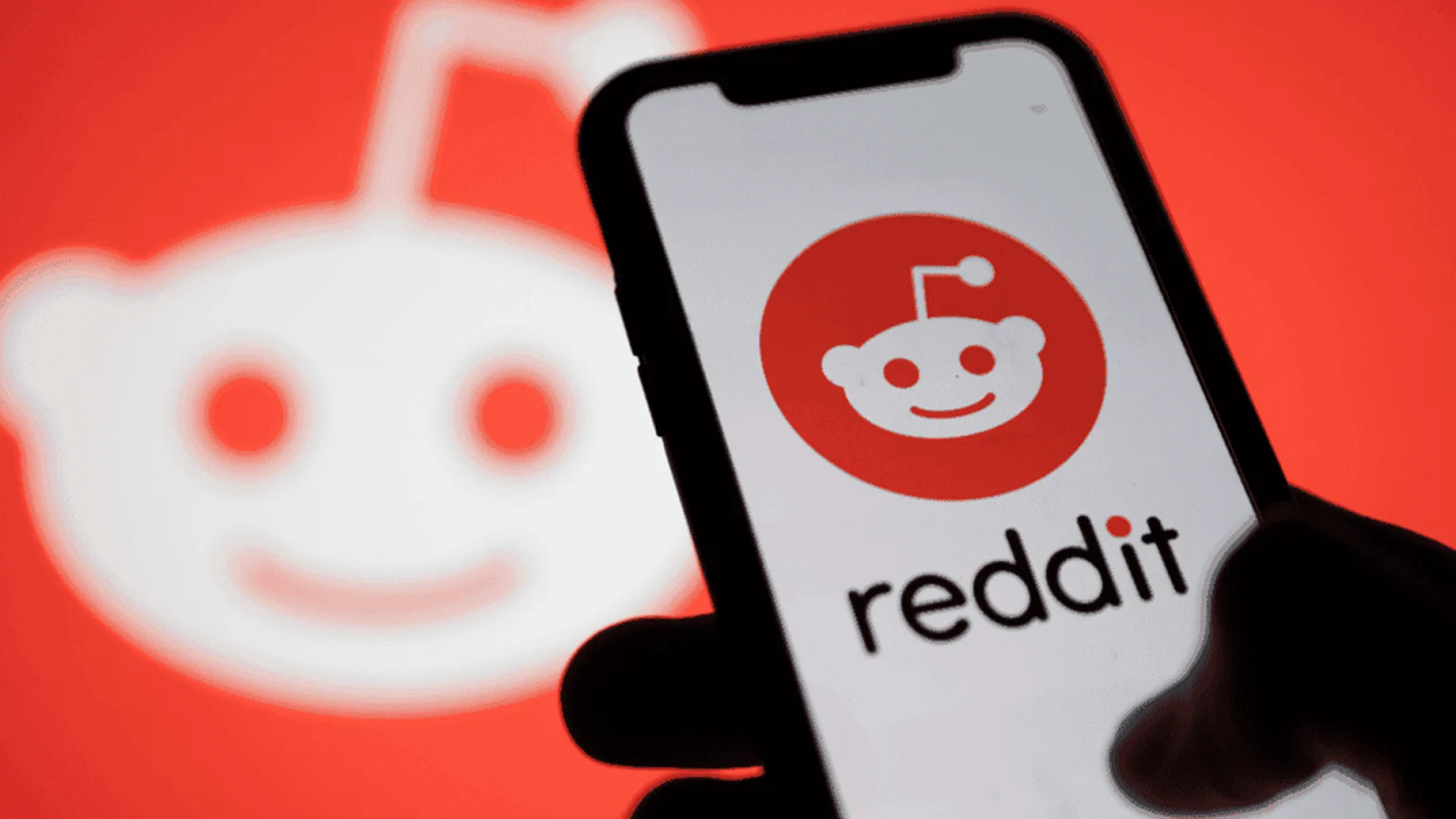 Reddit, 2024'te halka arz olmayı planlıyor