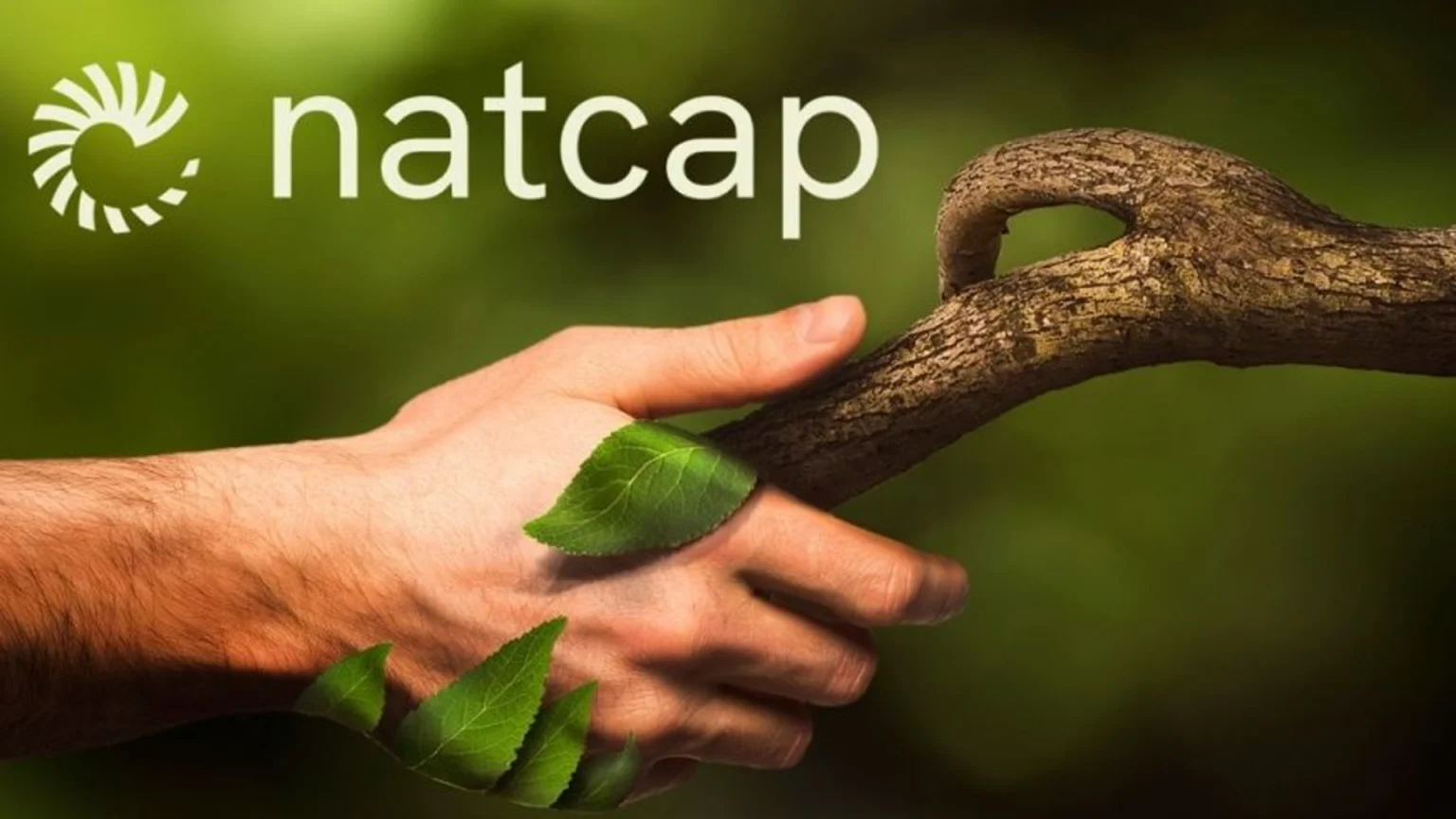 Şirketlerin doğa üzerindeki etkisini ölçen Natcap, 9.2 milyon euro yatırım aldı