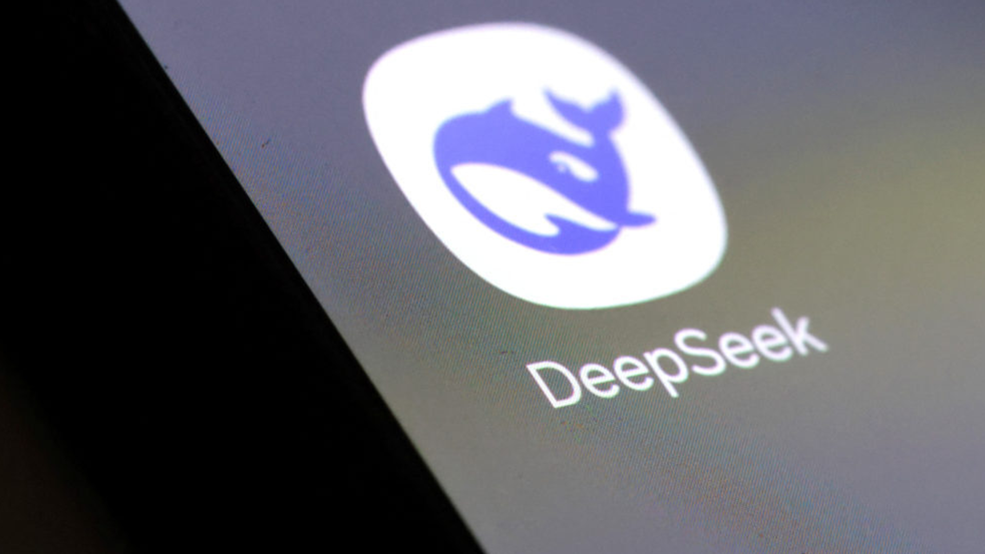 DeepSeek